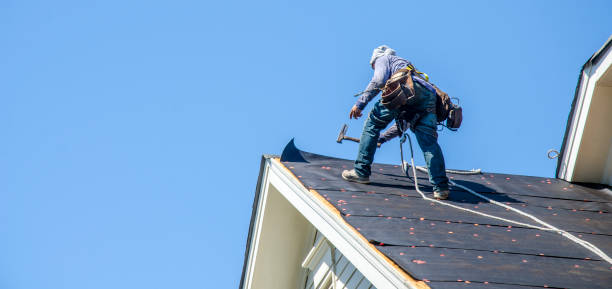 Best Flat Roof Repair Services  in Gentry, AR